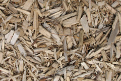 biomass boilers Skendleby